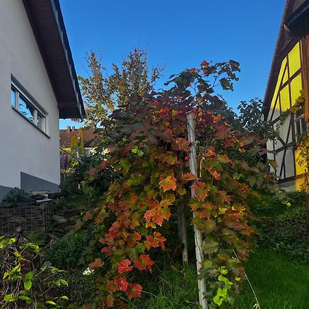 Kleine Auszeit - Ferienwohnung Heideberg - "Rhein" In Den Urlaub バッハラッハ エクステリア 写真
