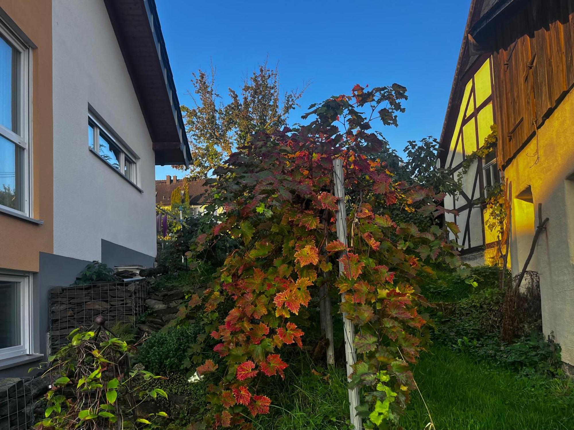 Kleine Auszeit - Ferienwohnung Heideberg - "Rhein" In Den Urlaub バッハラッハ エクステリア 写真